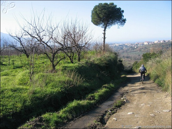 Clicca sull'immagine per ingrandire alla dimesione originale