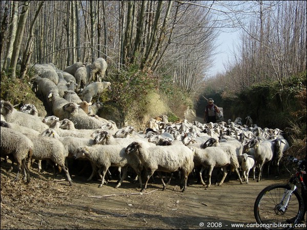 Clicca sull'immagine per ingrandire alla dimesione originale