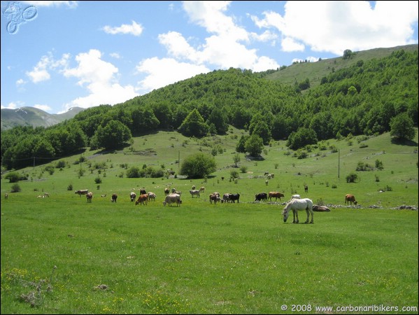 Clicca sull'immagine per ingrandire alla dimesione originale