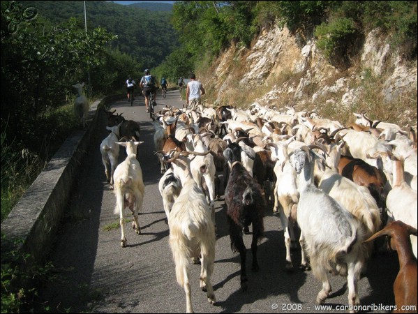 Clicca sull'immagine per ingrandire alla dimesione originale