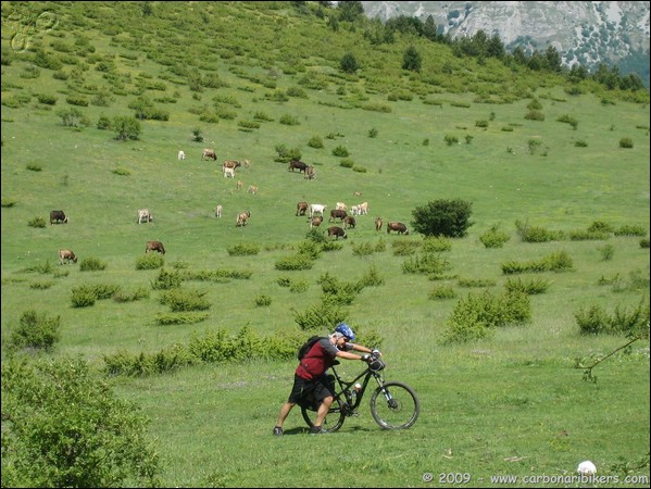 Clicca sull'immagine per ingrandire alla dimesione originale