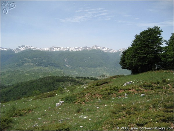 Clicca sull'immagine per ingrandire alla dimesione originale