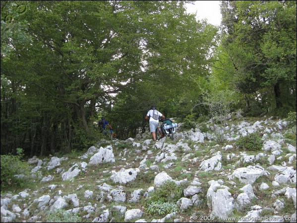 Clicca sull'immagine per ingrandire alla dimesione originale