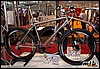 lynskey_houseblend.jpg