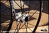 mavic_crossmaxst_hub.jpg